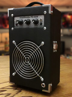 Amplificador FG-06W