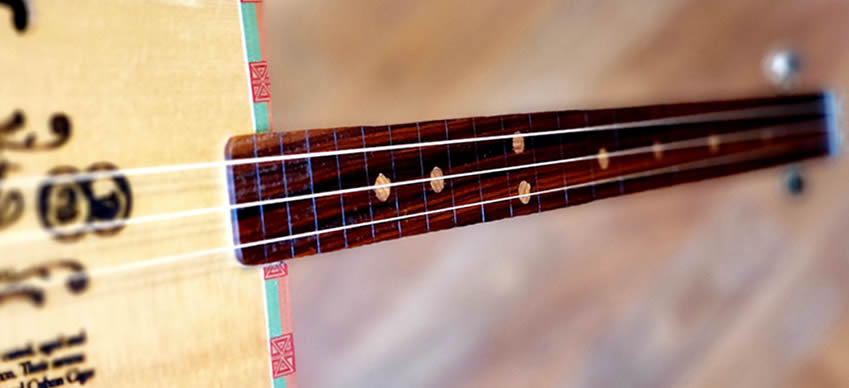 ¿Cigar Box Guitar entrastada o fretless?