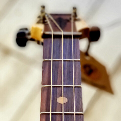 Cigar Box Guitar "California Republic" - Imagen 7