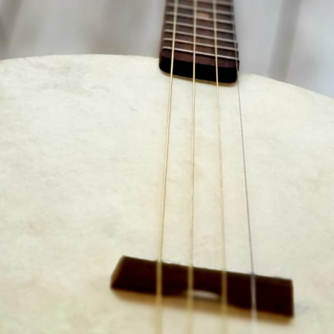 Cigar Box Guitar "BANJO" - Imagen 8